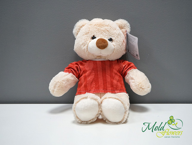 Bear in Sweater, Height: 35 cm photo
